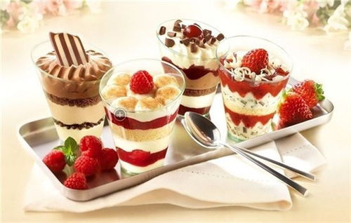 樂天派冰淇淋加盟費用詳解 開啟甜蜜事業的投資指南